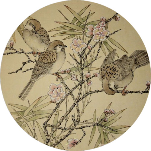 FUENTES DEL CURRÍCULO